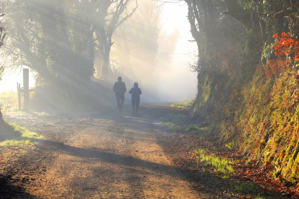 Two people walking in the woods after getting stimulant addiction treatment